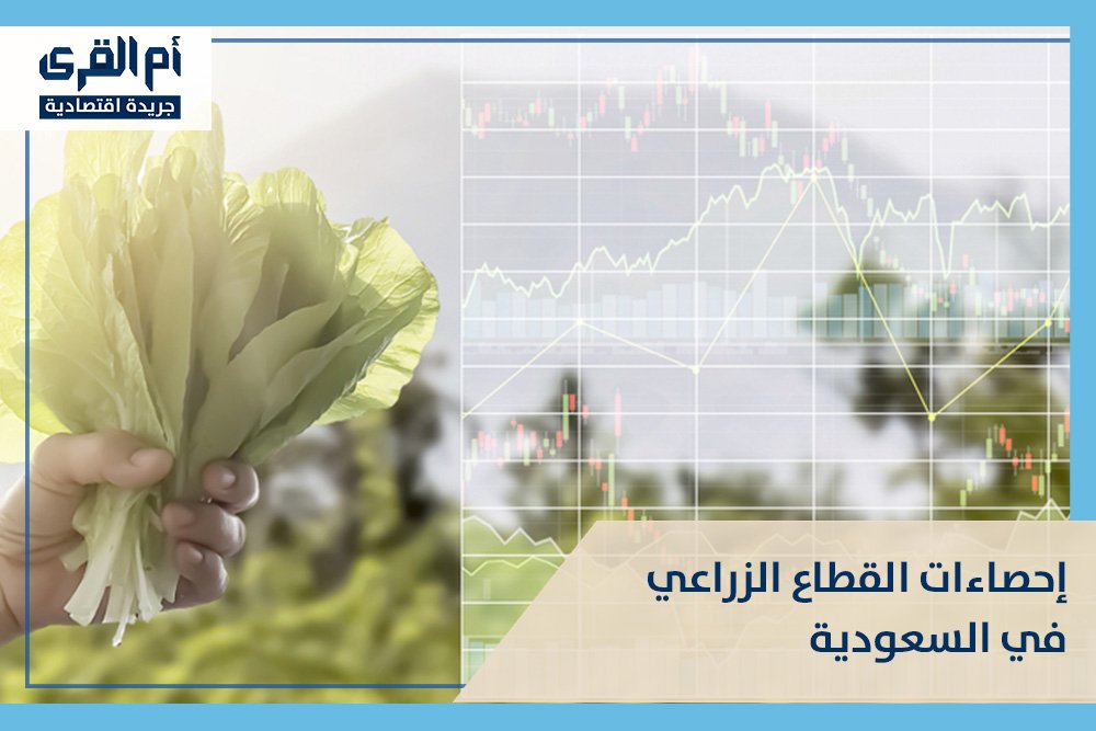إحصاءات القطاع الزراعي في السعودية