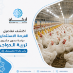 اكتشف تفاصيل الفرصة الاستثمارية دراسة جدوى مشروع تربية الدواجن